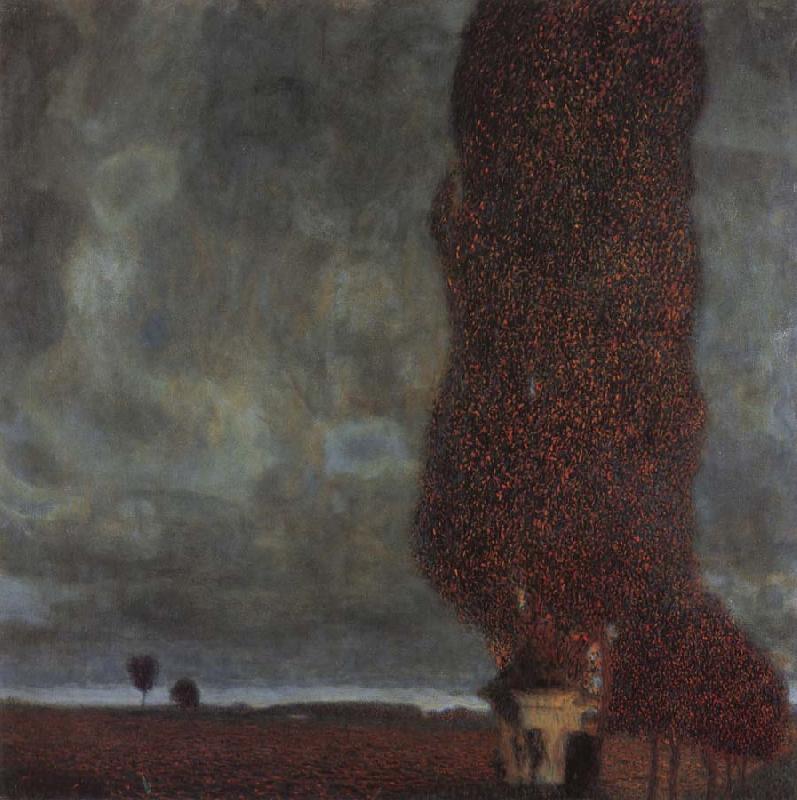 Gustav Klimt The Large poplar oil painting image